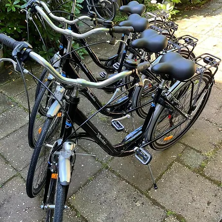 Zee-en-zo Noordwijk